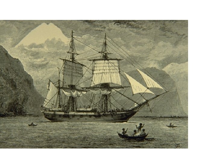 Surface Exploration 1825 Charles Darwin The HMS Beagle Marine life on/near Galapagos Islands 