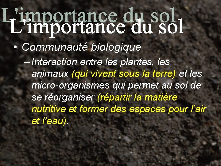  • Communauté biologique – Interaction entre les plantes, les animaux (qui vivent sous