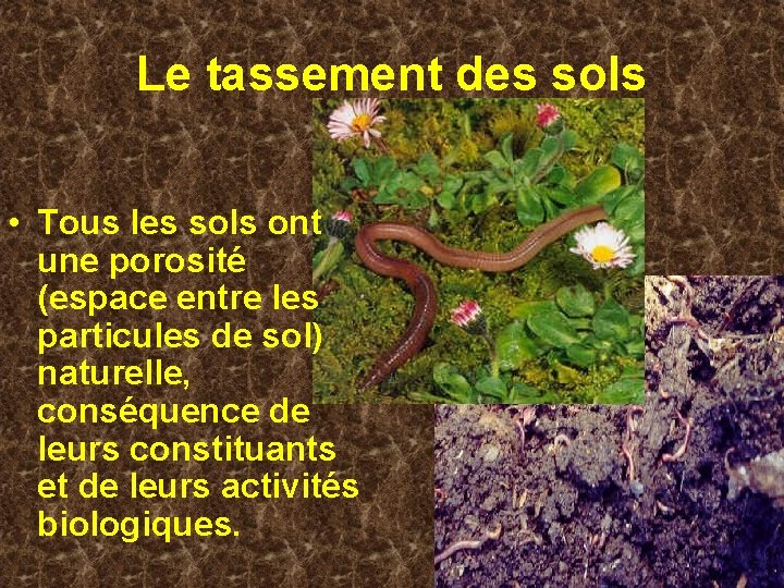 Le tassement des sols • Tous les sols ont une porosité (espace entre les