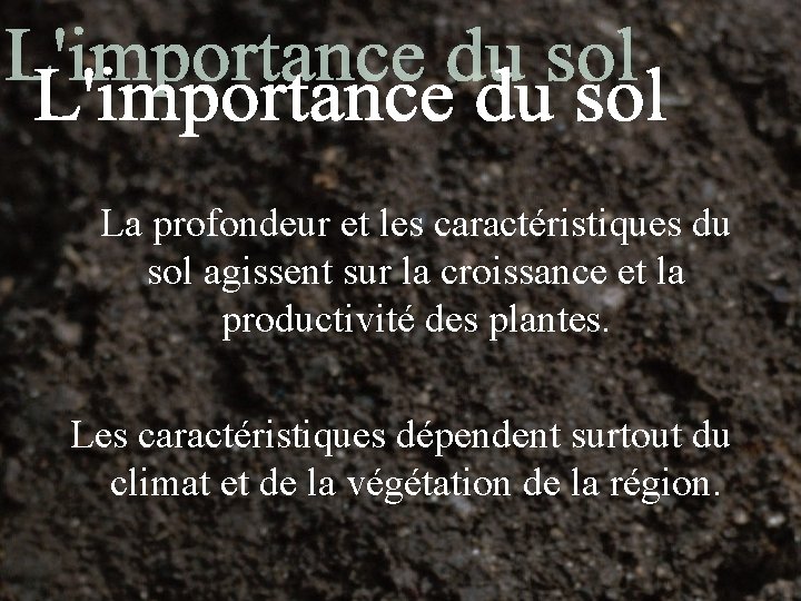 La profondeur et les caractéristiques du sol agissent sur la croissance et la productivité