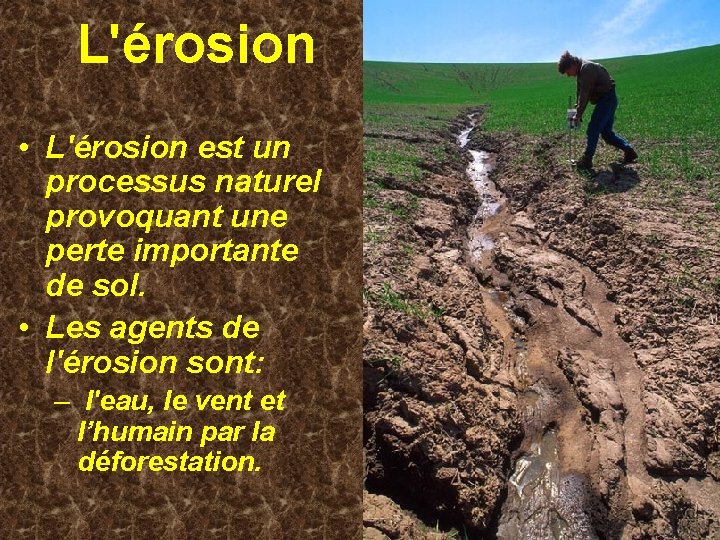 L'érosion • L'érosion est un processus naturel provoquant une perte importante de sol. •