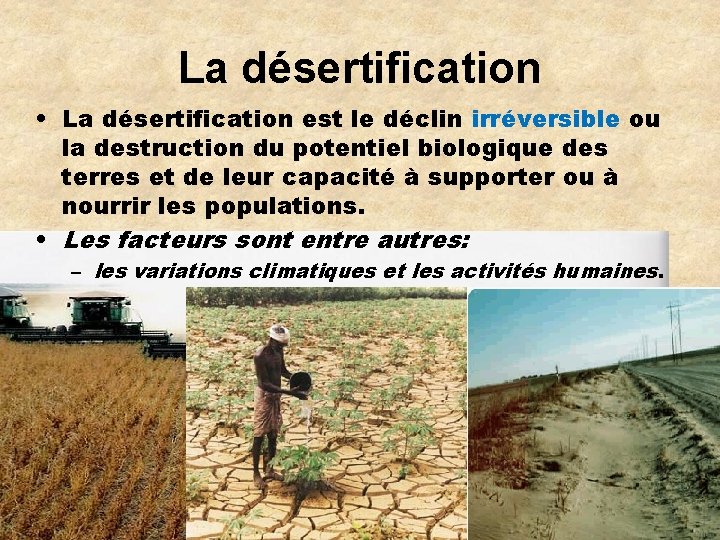 La désertification • La désertification est le déclin irréversible ou la destruction du potentiel