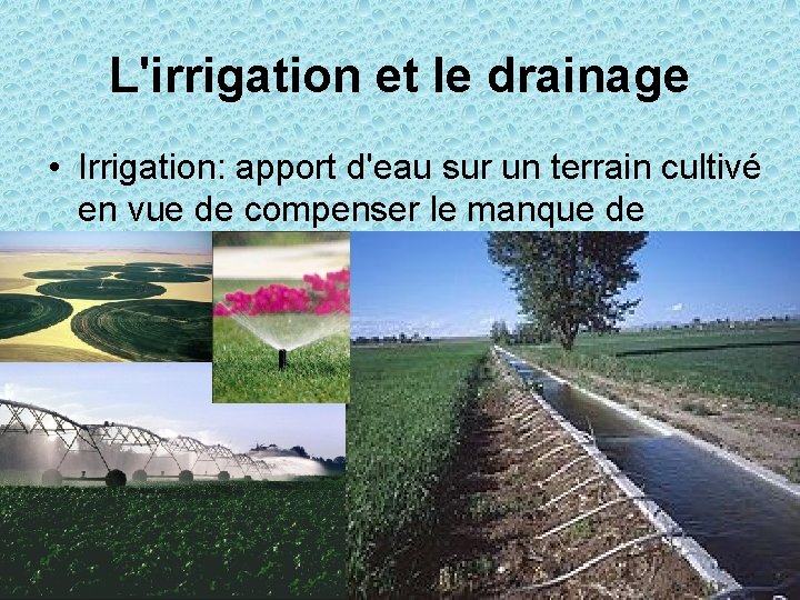 L'irrigation et le drainage • Irrigation: apport d'eau sur un terrain cultivé en vue