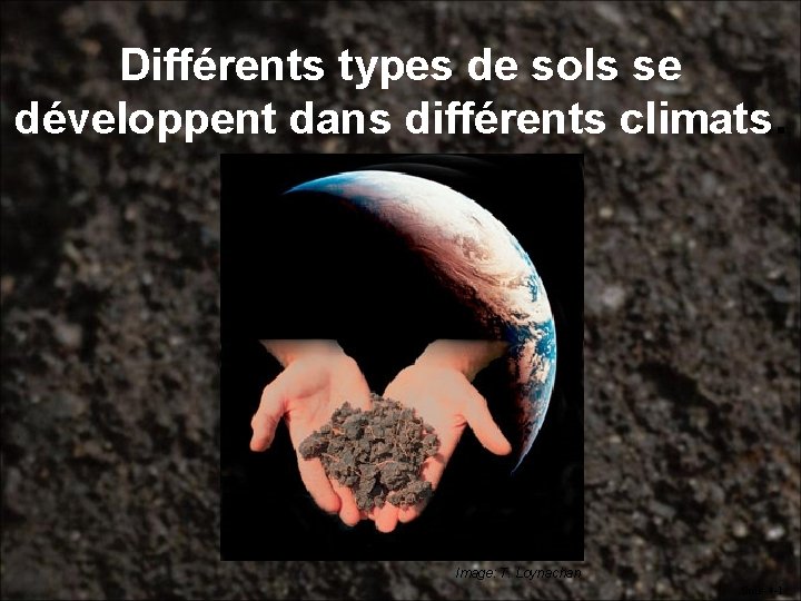 Différents types de sols se développent dans différents climats. Image: T. Loynachan Soils-4 -1