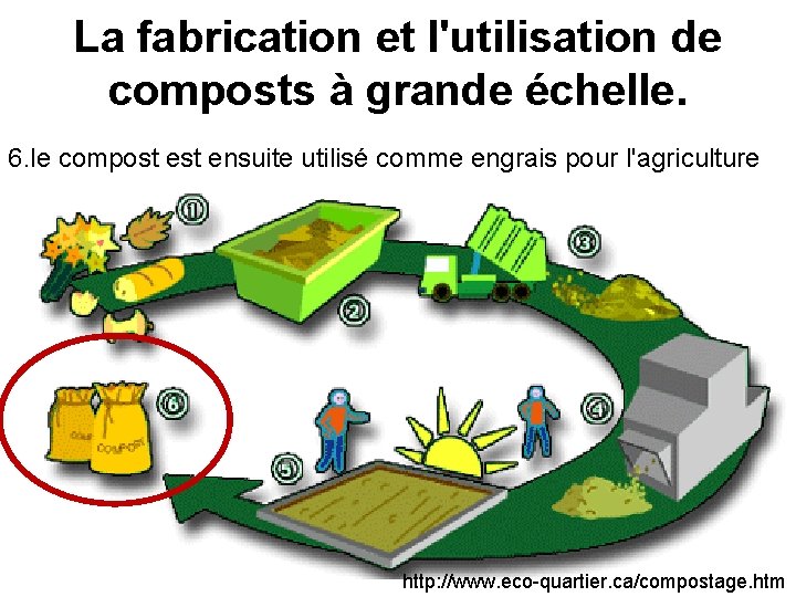 La fabrication et l'utilisation de composts à grande échelle. 6. le compost ensuite utilisé