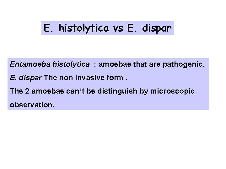 E. histolytica vs E. dispar Entamoeba histolytica : amoebae that are pathogenic. E. dispar