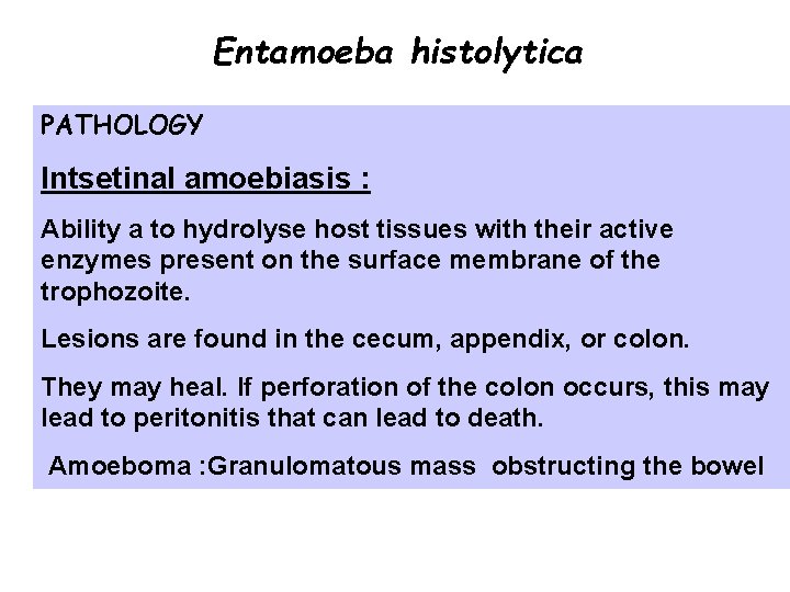 Entamoeba histolytica PATHOLOGY Intsetinal amoebiasis : Ability a to hydrolyse host tissues with their