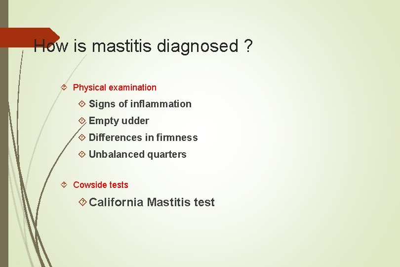 How is mastitis diagnosed ? Physical examination Signs of inflammation Empty udder Differences in