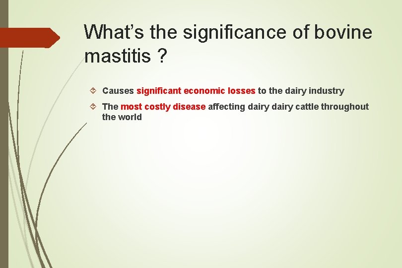 What’s the significance of bovine mastitis ? Causes significant economic losses to the dairy