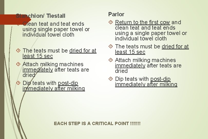 Stanchion/ Tiestall Clean teat and teat ends usingle paper towel or individual towel cloth
