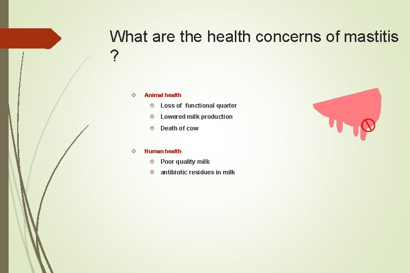 What are the health concerns of mastitis ? Animal health Loss of functional quarter