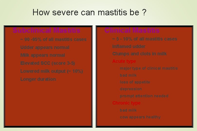 How severe can mastitis be ? Subclinical Mastitis Clinical Mastitis ~ 90 -95% of