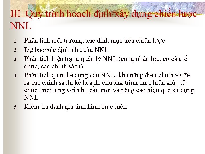 III. Quy trình hoạch định/xây dựng chiến lược NNL 1. 2. 3. 4. 5.