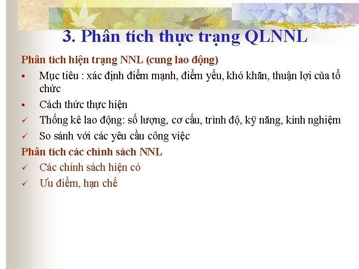 3. Phân tích thực trạng QLNNL Phân tích hiện trạng NNL (cung lao động)