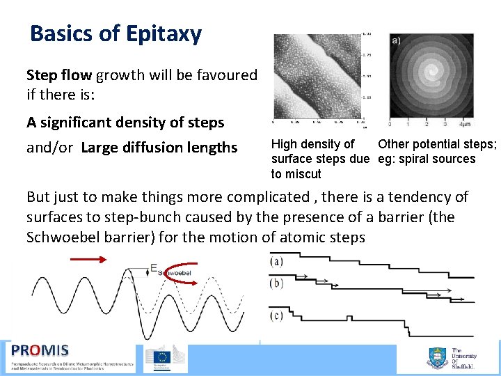 Basics of Epitaxy Step flow growth will be favoured if there is: A significant