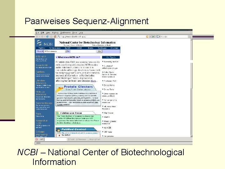 Paarweises Sequenz-Alignment NCBI – National Center of Biotechnological Information 