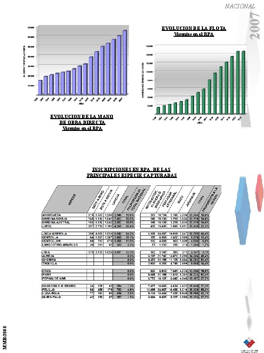 EVOLUCION DE LA FLOTA Vigentes en el RPA EVOLUCION DE LA MANO DE OBRA