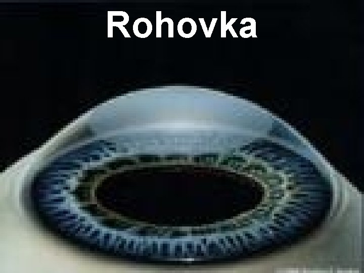 Rohovka 