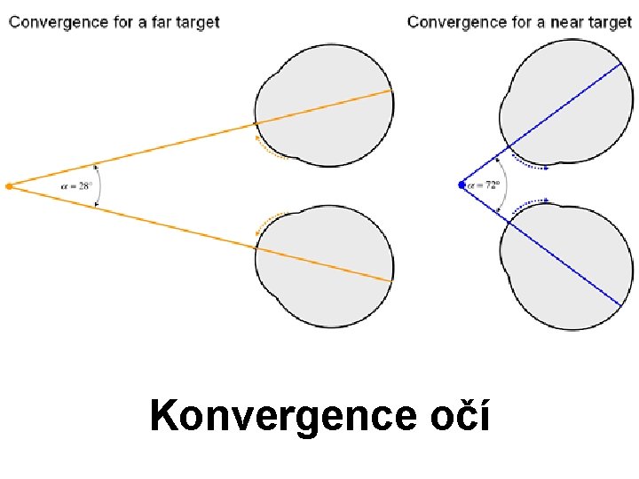 Konvergence očí 