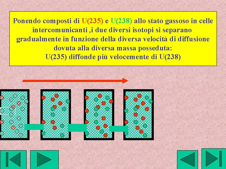 Ponendo composti di U(235) e U(238) allo stato gassoso in celle intercomunicanti , i