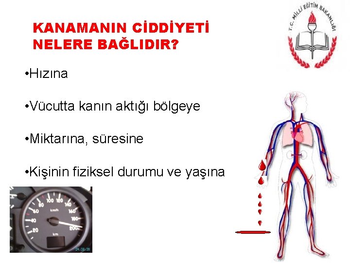 KANAMANIN CİDDİYETİ NELERE BAĞLIDIR? • Hızına • Vücutta kanın aktığı bölgeye • Miktarına, süresine