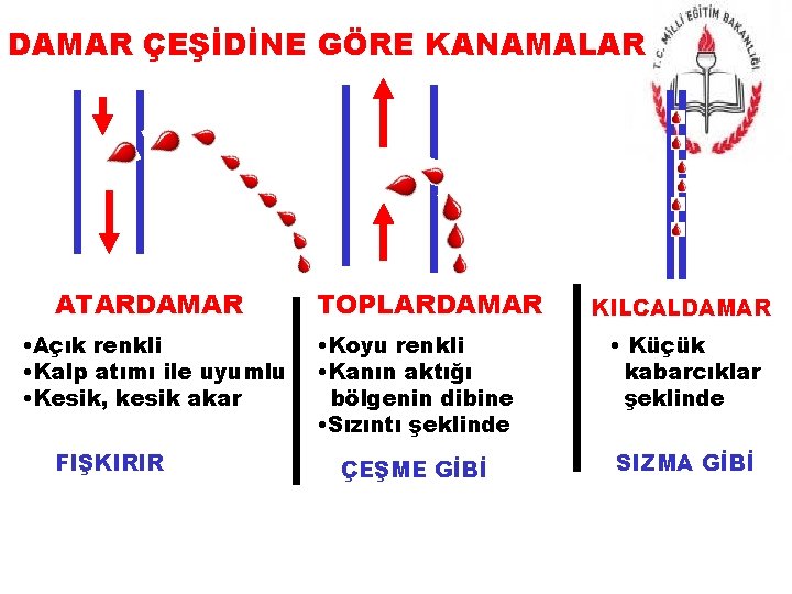 DAMAR ÇEŞİDİNE GÖRE KANAMALAR ATARDAMAR • Açık renkli • Kalp atımı ile uyumlu •