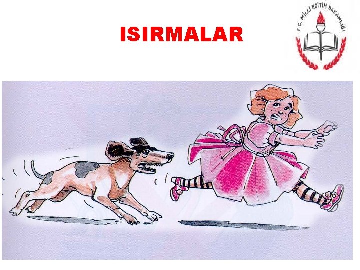 ISIRMALAR 