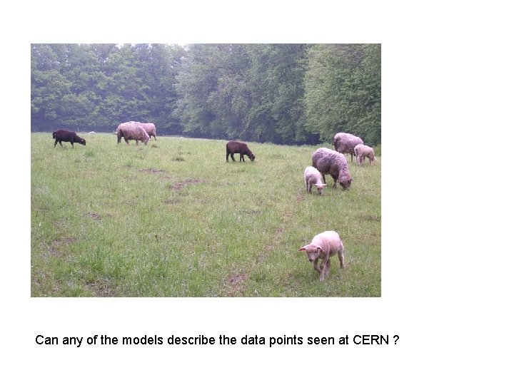Can any of the models describe the data points seen at CERN ? 