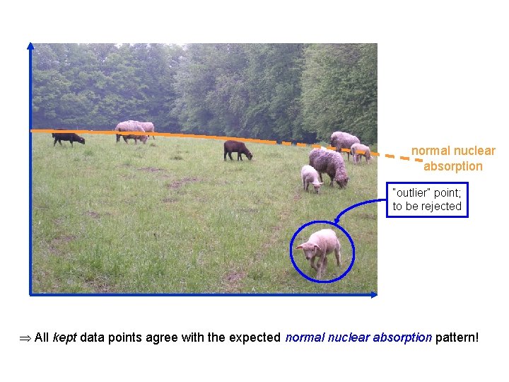 normal nuclear absorption “outlier” point; to be rejected All kept data points agree with