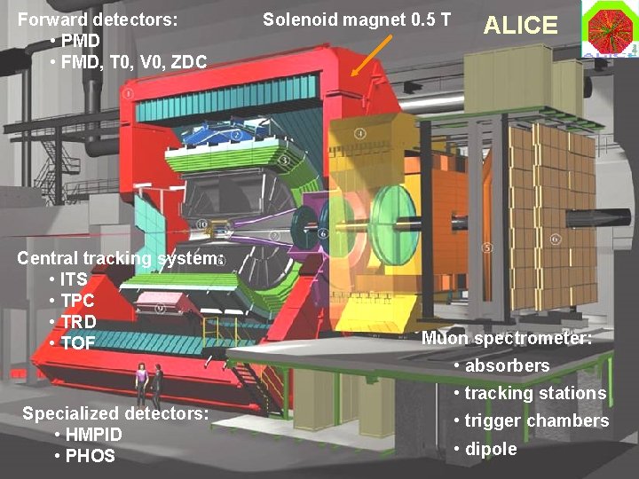 Forward detectors: • PMD • FMD, T 0, V 0, ZDC Central tracking system: