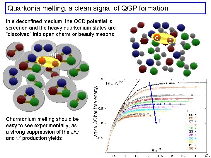 Quarkonia melting: a clean signal of QGP formation In a deconfined medium, the QCD