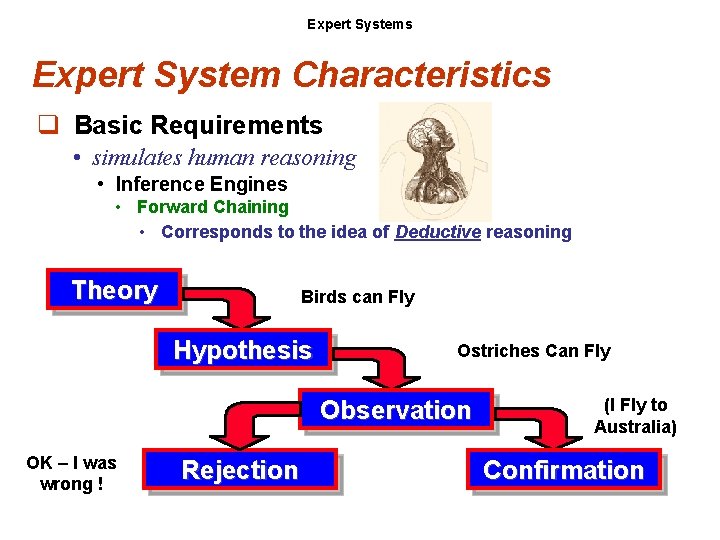 Expert Systems Expert System Characteristics q Basic Requirements • simulates human reasoning • Inference