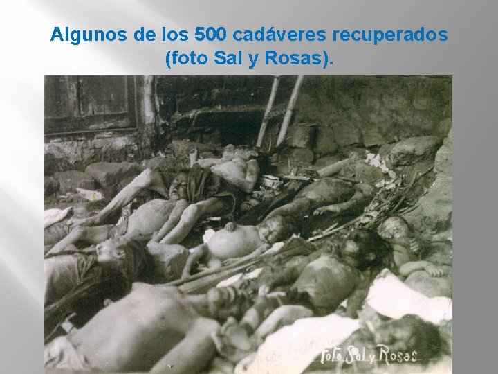Algunos de los 500 cadáveres recuperados (foto Sal y Rosas). 