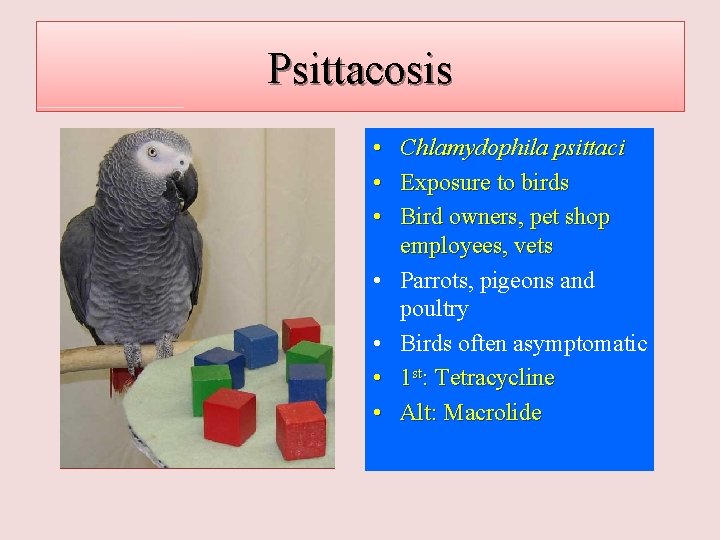 Psittacosis • • Chlamydophila psittaci Exposure to birds Bird owners, pet shop employees, vets