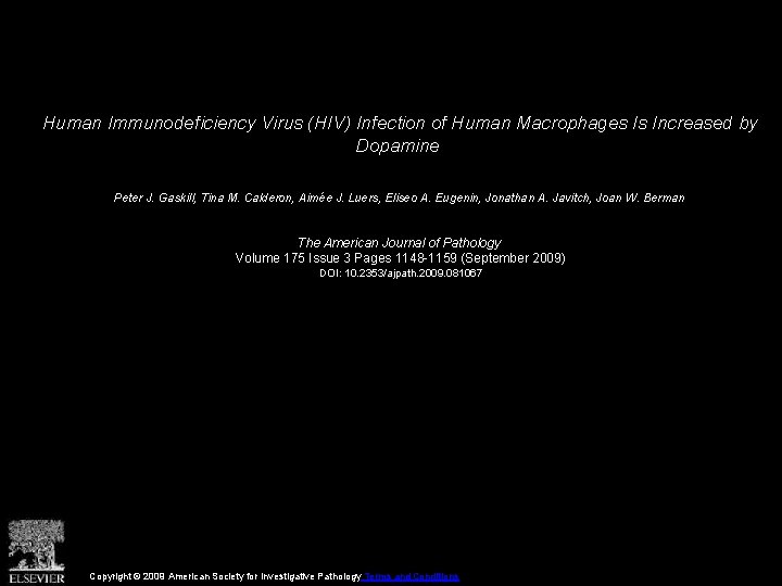 Human Immunodeficiency Virus (HIV) Infection of Human Macrophages Is Increased by Dopamine Peter J.