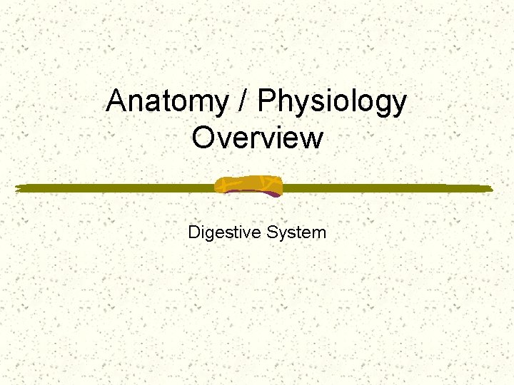 Anatomy / Physiology Overview Digestive System 