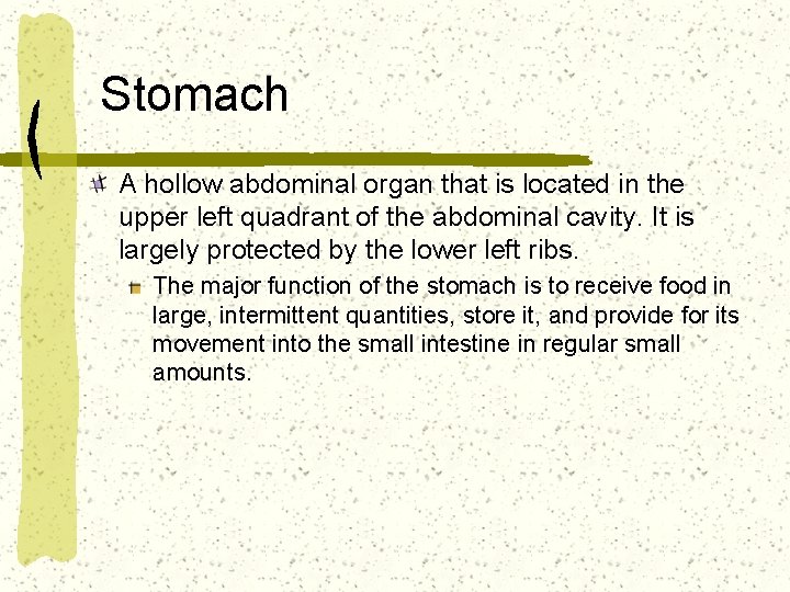 Stomach A hollow abdominal organ that is located in the upper left quadrant of