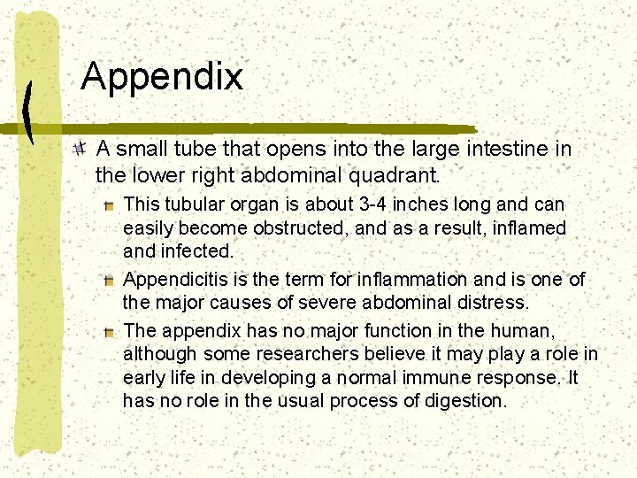 Appendix A small tube that opens into the large intestine in the lower right