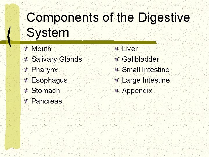 Components of the Digestive System Mouth Salivary Glands Pharynx Esophagus Stomach Pancreas Liver Gallbladder