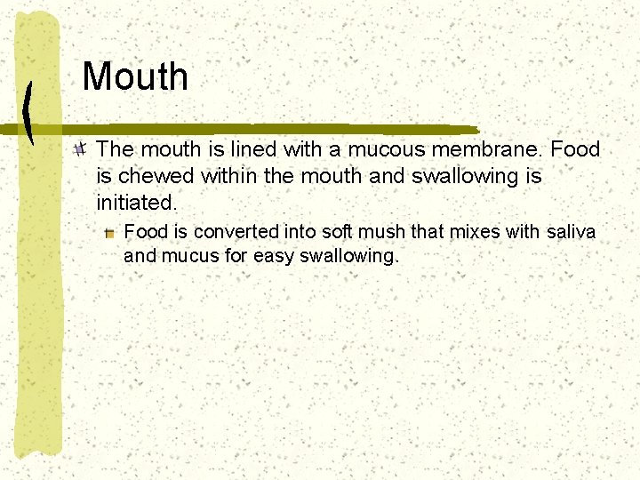 Mouth The mouth is lined with a mucous membrane. Food is chewed within the