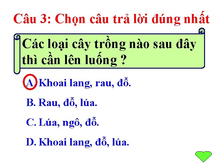 Câu 3: Chọn câu trả lời đúng nhất Các loại cây trồng nào sau