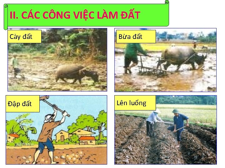 II. CÁC CÔNG VIỆC LÀM ĐẤT Cày đất Bừa đất Đập đất Lên luống