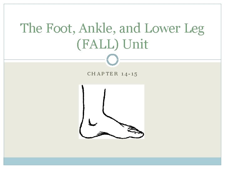 The Foot, Ankle, and Lower Leg (FALL) Unit CHAPTER 14 -15 