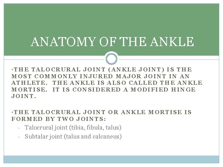 ANATOMY OF THE ANKLE • THE TALOCRURAL JOINT (ANKLE JOINT) IS THE MOST COMMONLY