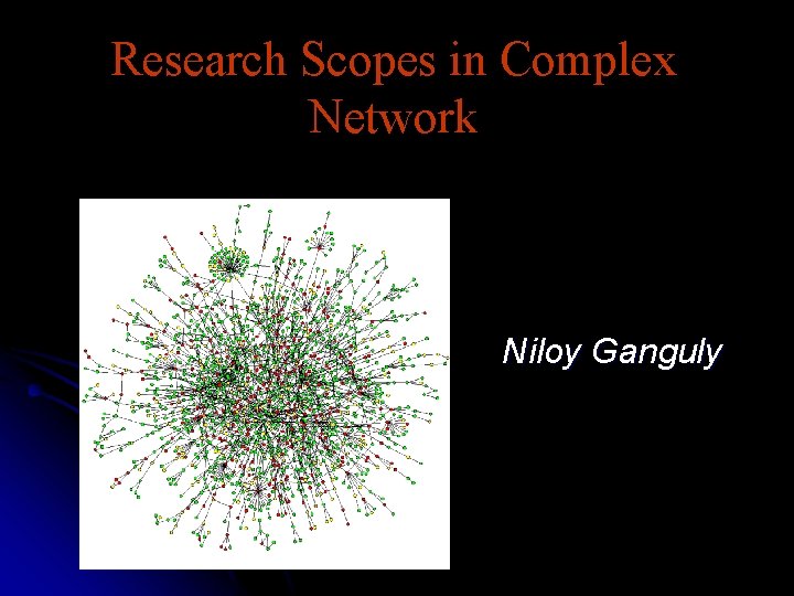 Research Scopes in Complex Network Niloy Ganguly 