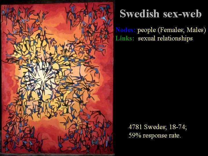 Swedish sex-web Nodes: people (Females; Males) Links: sexual relationships 4781 Swedes; 18 -74; 59%