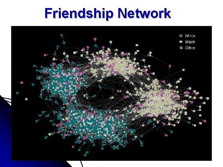 Friendship Network 