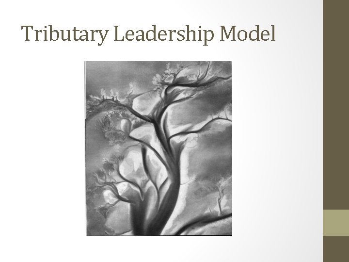 Tributary Leadership Model 