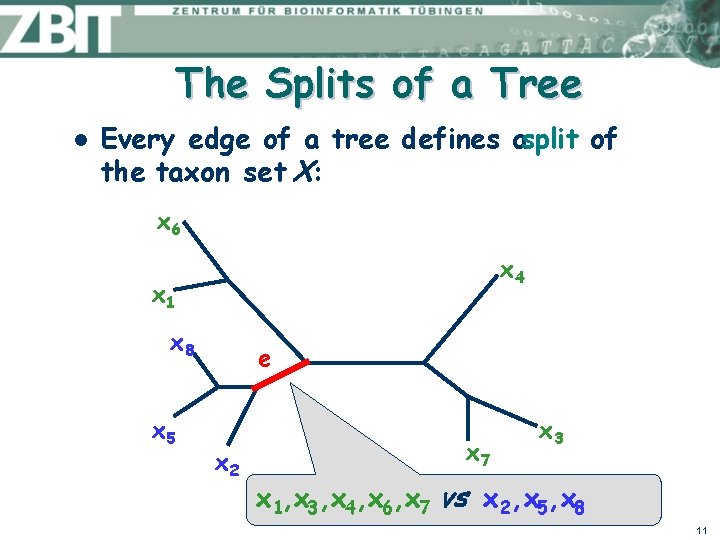 The Splits of a Tree l Every edge of a tree defines asplit of