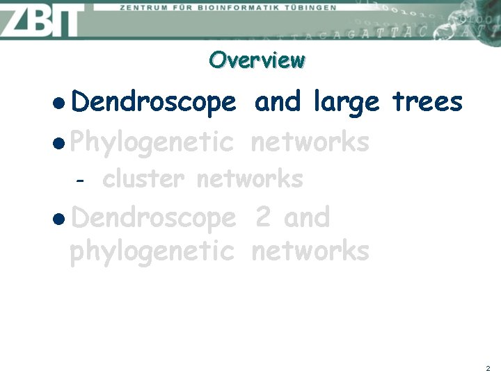 Overview l Dendroscope and large trees l Phylogenetic networks – cluster networks l Dendroscope